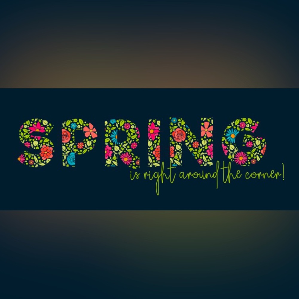 Time for new listings! All things Spring coming soon! Stay tuned! 🌺 🌼